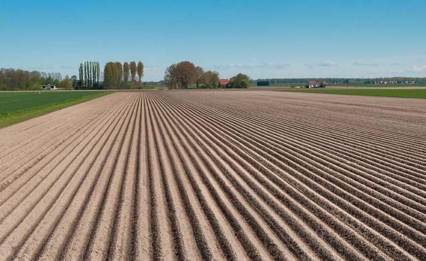 Recently planted potato field in the Netherlands.