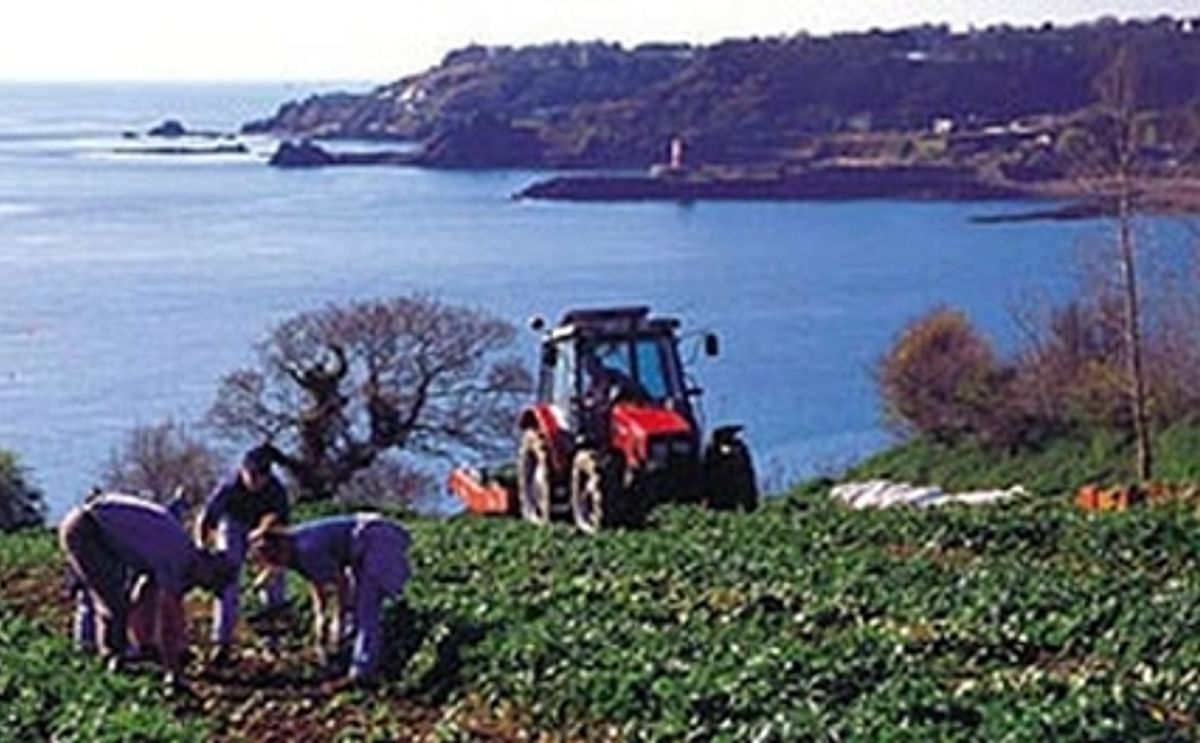 Produce Investments PLC completes acquisition of Jersey Royal Company