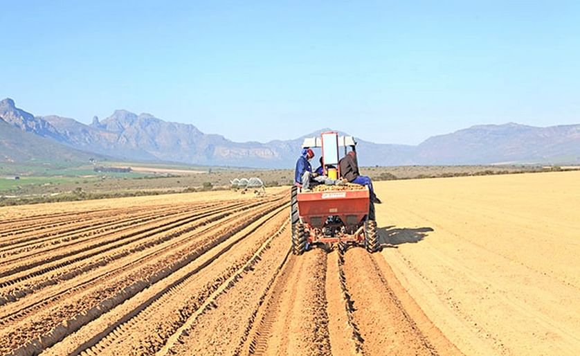 Potatoes are planted from May to July, when water can be pumped from the river. (Courtesy: Glenneis Kriel)