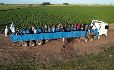 Vicentina S.A organized its annual potato day in Uruguay Vicentina S.A organized its annual potato day in Uruguay