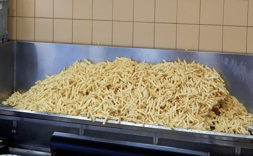 Ensuring Quality Through Proper Frozen Fry Storage