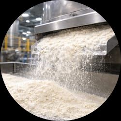 Potato Flour Processing Plant – Engineering & EPCM Services