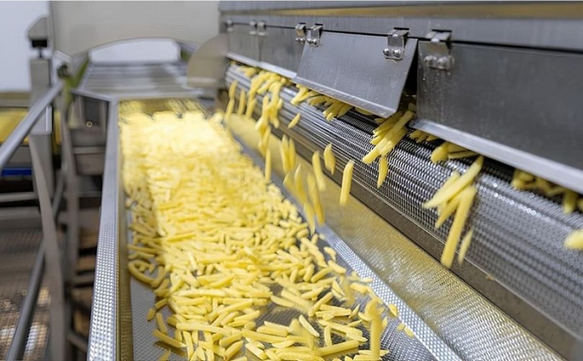 State-of-the-art processing line for French fries at Potato Agro, Cherkasy region, preparing to handle 150–180 thousand tons of potatoes annually.