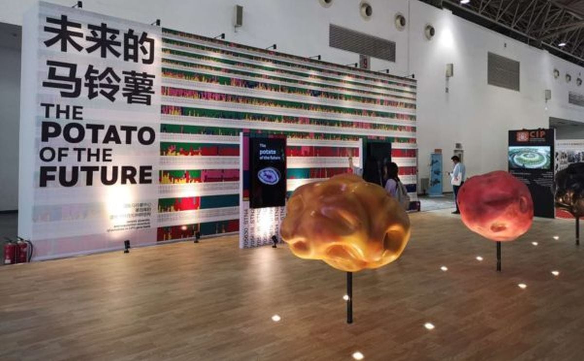 The 'Potato of the Future' Climate - Smarter and Healthier The 'Potato of the Future' Climate - Smarter and Healthier