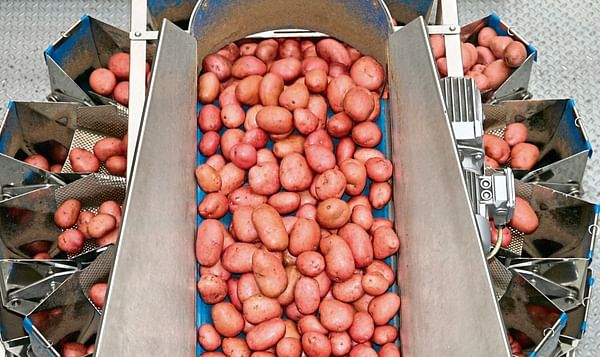 Potato giant Albert Bartlett bags profits rise