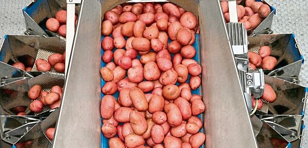 Potato giant Albert Bartlett bags profits rise