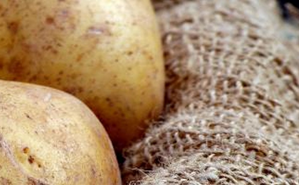 Glycoalkaloids in potatoes: public health risks assessed Glycoalkaloids in potatoes: public health risks assessed