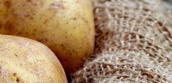 Glycoalkaloids in potatoes: public health risks assessed