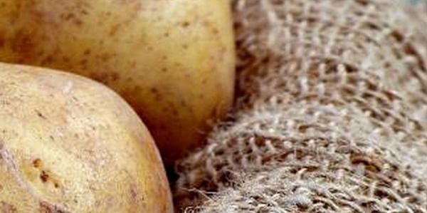 Glycoalkaloids in potatoes: public health risks assessed