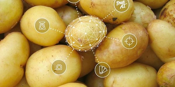 Potato Grading Artificial Intelligence