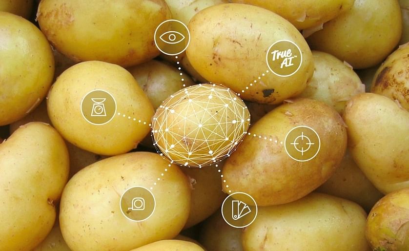 Potato Grading Artificial Intelligence