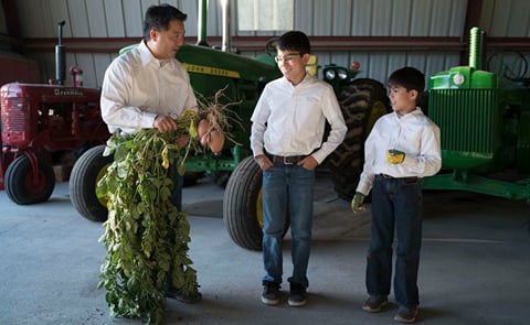 Potato Grading Consistent Product Quality at Wada Farms Potato Grading Consistent Product Quality at Wada Farms