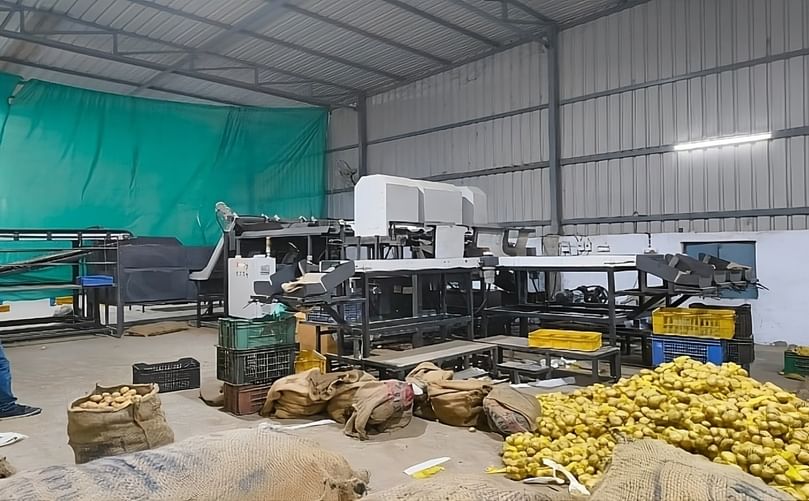 Agrograde AI potato grading machine in Ahmedabad Agrograde AI potato grading machine in Ahmedabad