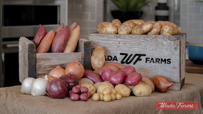 Potato Grading Machine Flexibility to meet any demand at Wada Farms Potato Grading Machine Flexibility to meet any demand at Wada Farms
