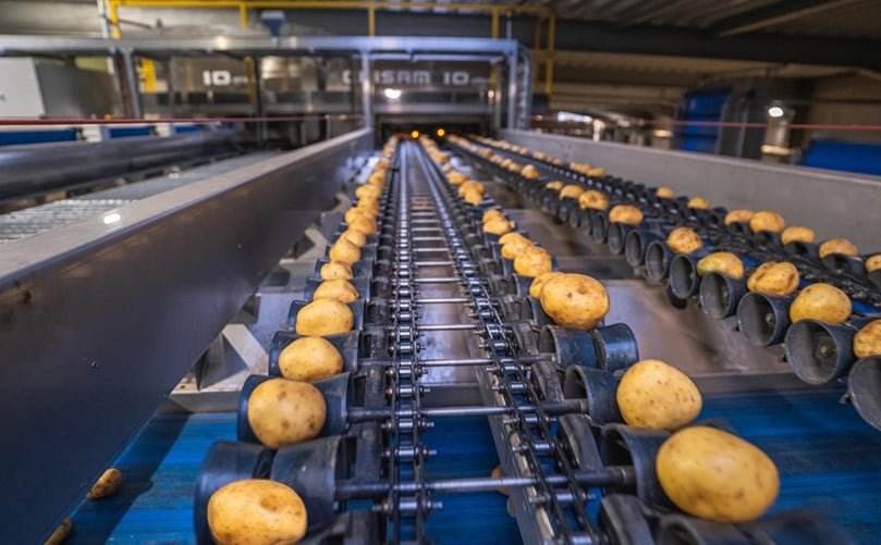 Potato Grading Throughput Potato Grading Throughput