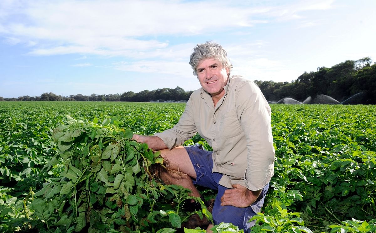 Vaughan Carter, chair of the Potato Growers Association of Western Australia
