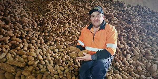 Potato growers to receive extra AUS 9/tonne from Simplot Australia on the back of 'volatile' year