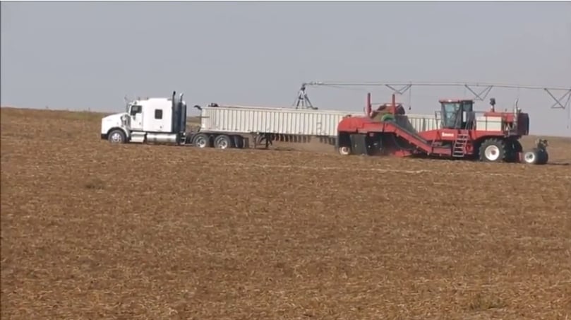 Potato harvest in the United States in 2017 (various farms)
Potato harvest in the United States in 2017 (various farms)