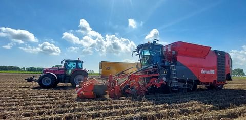 Potato harvest August 2023 in the Netherlands (Courtesy: Dewulf)