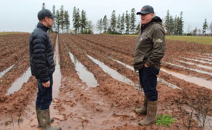 Brett Francis, left, and David Francis assess one of their harvested potato fields, which is covered in mud and puddles from the heavy rain that fell overnight Saturday and into Sunday. The owners and operators of David and Brett Francis Family Farm have 