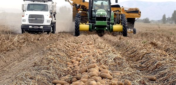 Idaho potato farmers heading to Taiwan on trade mission