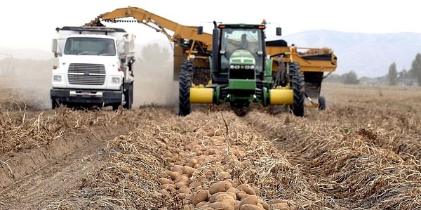 Idaho potato farmers heading to Taiwan on trade mission