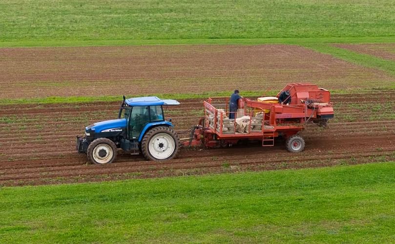 he field was planted with red clover last summer, which was plowed into the soil, followed by a cover crop of barley and tillage radish last fall. (Courtesy: CBC)
