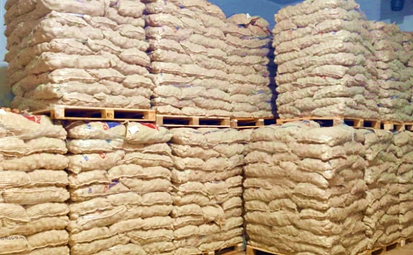 The company imported 14,000 tons of seed potatoes belonging to the above-mentioned companies. The company imported 14,000 tons of seed potatoes belonging to the above-mentioned companies.