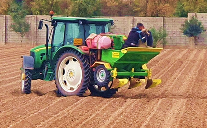 Potato harvest in southern Iraq 2/6/2021 Potato harvest in southern Iraq 2/6/2021