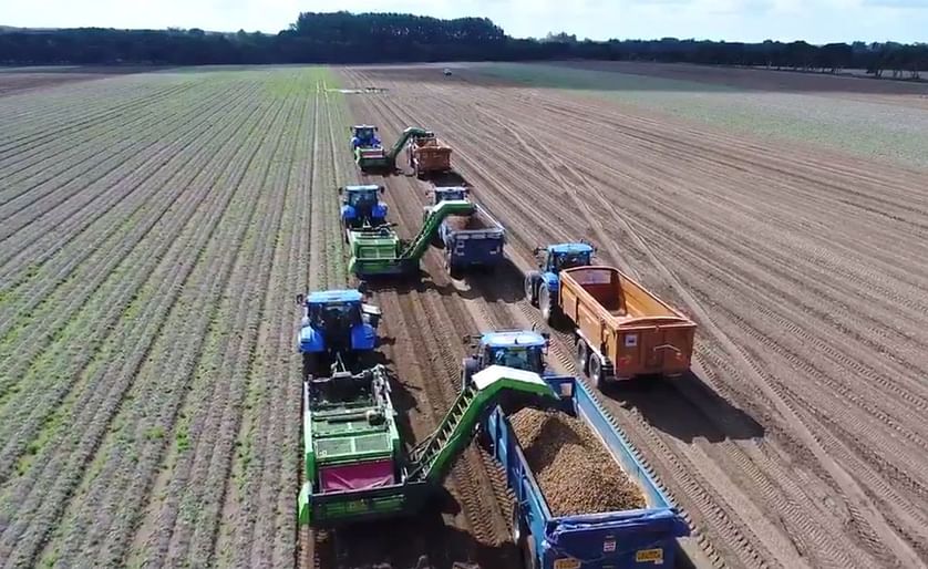 Potato Harvest at Wortley and Sons in Norfolk, United Kingdom (Courtesy: Twitter / Morrisons)