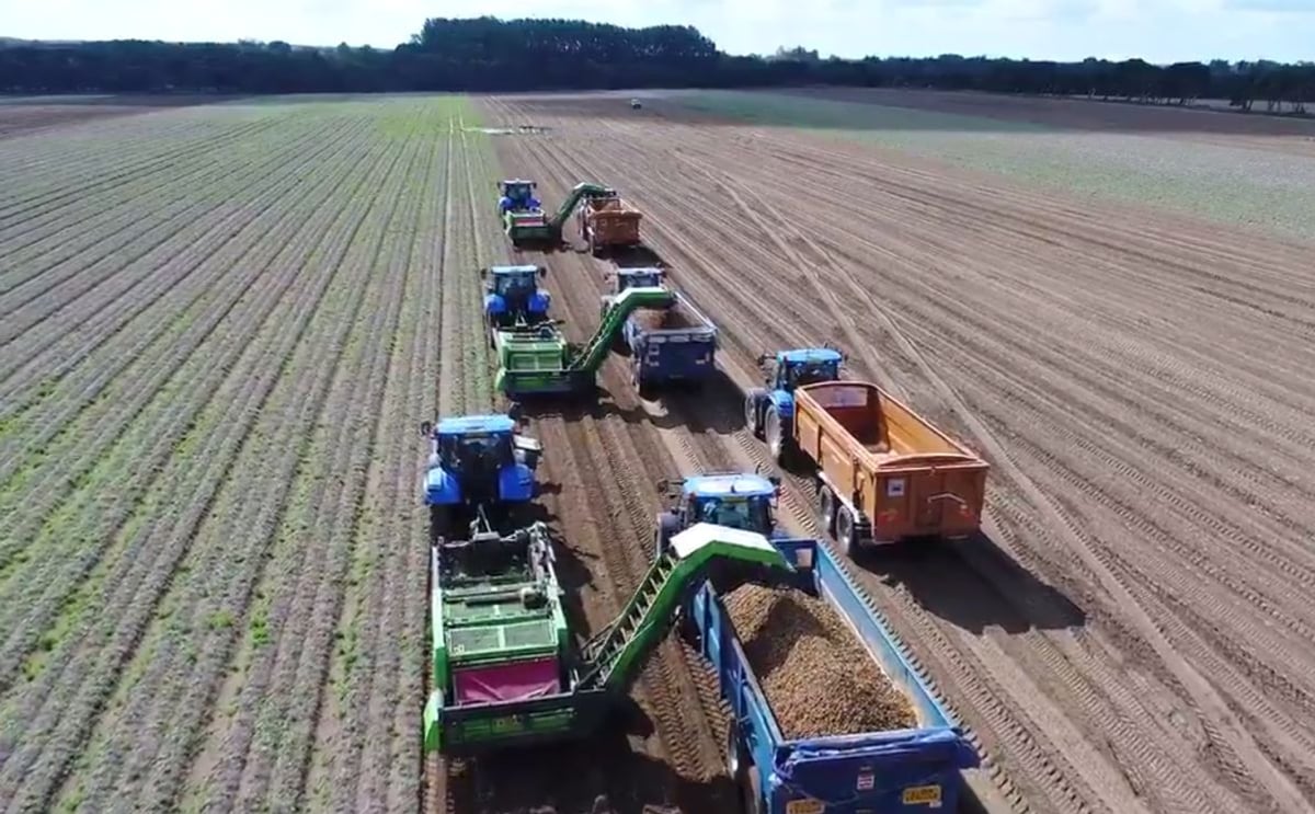 Aardappelproduktie Noord-west Europa 13.5 procent hoger dan vorig jaar Aardappelproduktie Noord-west Europa 13.5 procent hoger dan vorig jaar