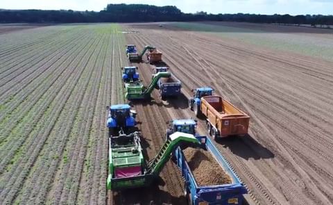 Aardappeloogst bij Wortley and Sons in Norfolk, Engeland (Courtesy: twitter, Morrisons) Aardappeloogst bij Wortley and Sons in Norfolk, Engeland (Courtesy: twitter, Morrisons)