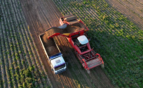 Potato Harvester at Seasonal harvesting of potatoes from field. Potato Harvester at Seasonal harvesting of potatoes from field.