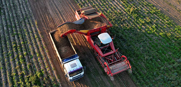 Dutch Potato Farmers Find October 1 Deadline to Harvest the Crop Not Pragmatic