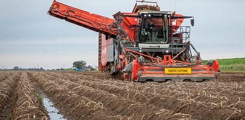 Excessive rain delays potato harvest in North-western Europe, creating new uncertainties about the total production (Courtesy: Dewulf)