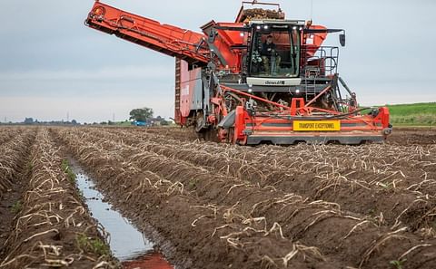 Harvesting potatoes under wet conditions with a self-propelled Dewulf harvester
