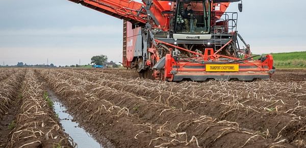Excessive rain delays potato harvest in North-western Europe, creating new uncertainties about the total production (Courtesy: Dewulf)