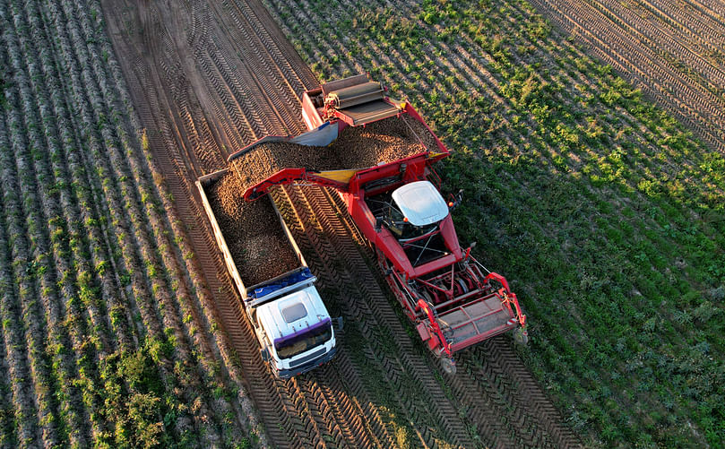 Potato harvesting in Idaho