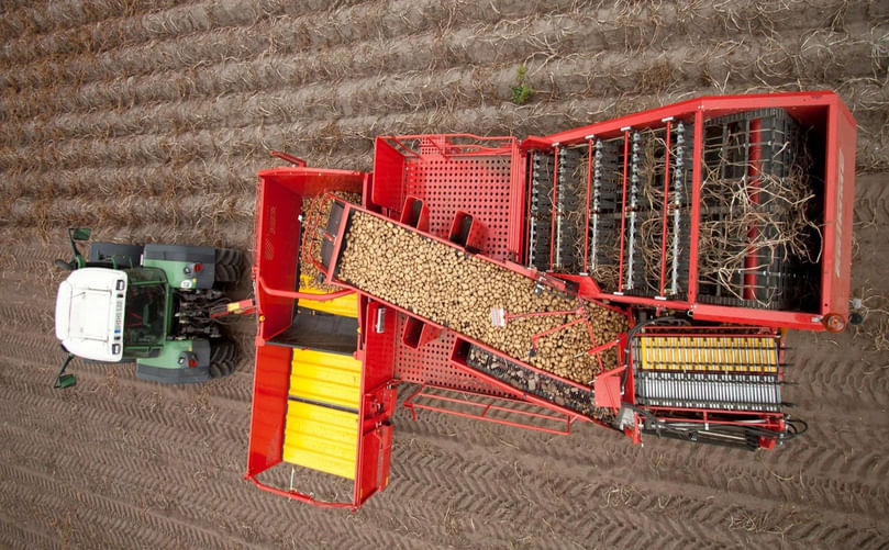 Mechanical potato harvester lifting and separating tubers from soil