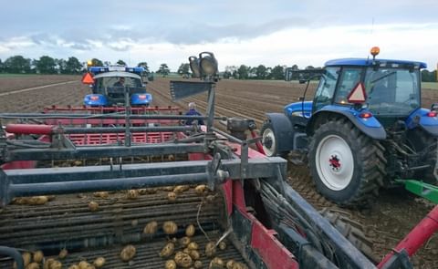 Eric van Oorschot together with his brother runs an arable farm and they also grow potatoes Eric van Oorschot together with his brother runs an arable farm and they also grow potatoes