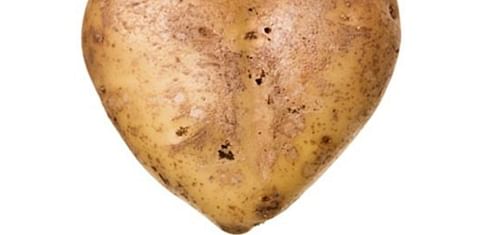 heart shaped potato (Courtesy: APRE)