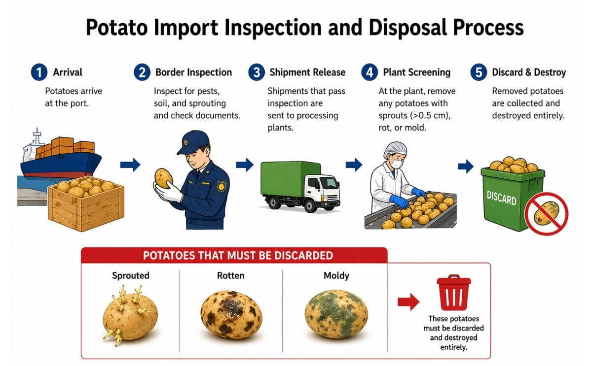 Taiwan enforces strict inspection and processing rules for imported potatoes, requiring sprouted, rotten, or moldy tubers to be removed and destroyed to ensure food safety Taiwan enforces strict inspection and processing rules for imported potatoes, requiring sprouted, rotten, or moldy tubers to be removed and destroyed to ensure food safety
