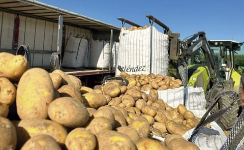 El sector de la patata apuesta por la calidad desde el origen hasta el consumidor El sector de la patata apuesta por la calidad desde el origen hasta el consumidor