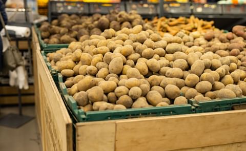 Potatoes in the market Potatoes in the market