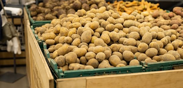 Bangladesh Potato Prices Soar to Record Levels Despite Recent Harvest