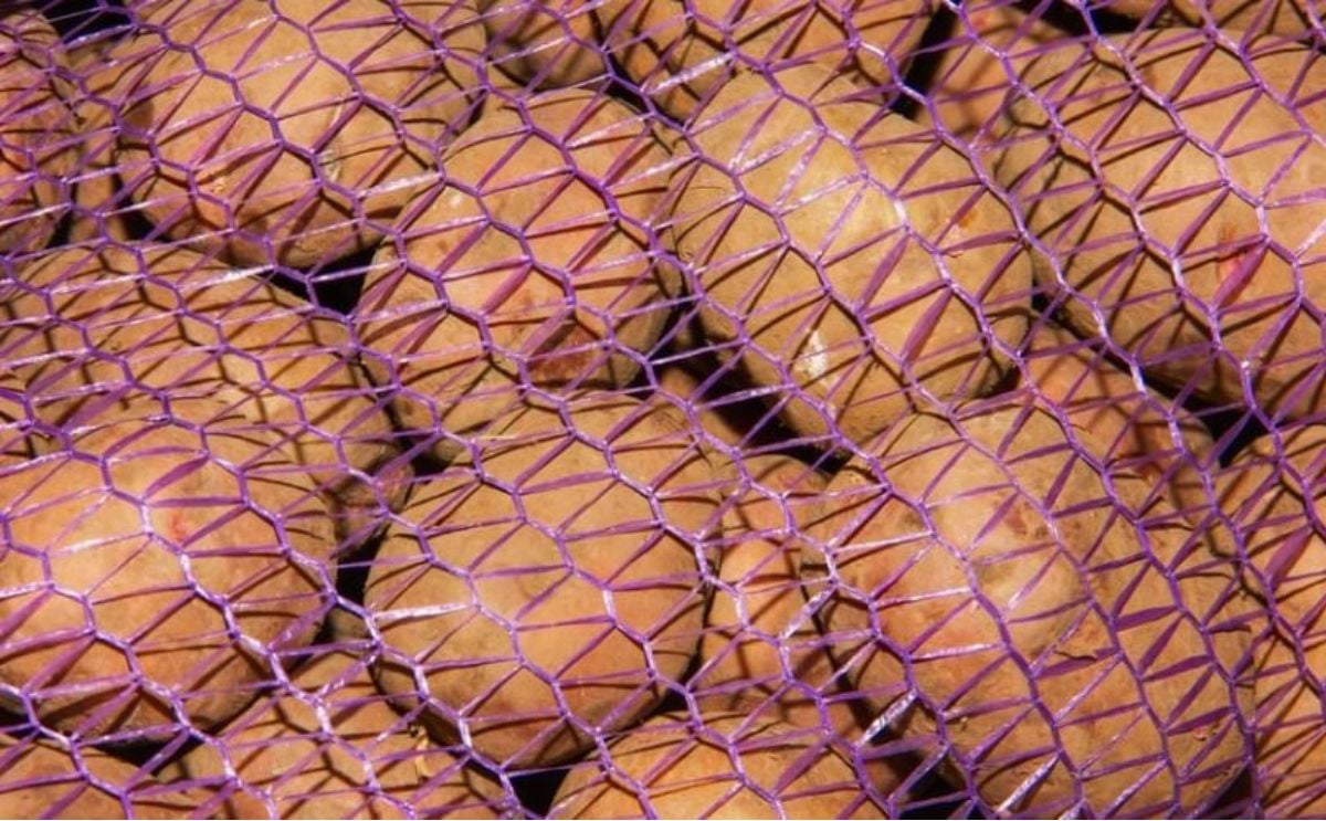 Indian Government removes Minimum Export Price (MEP) of Potatoes Indian Government removes Minimum Export Price (MEP) of Potatoes