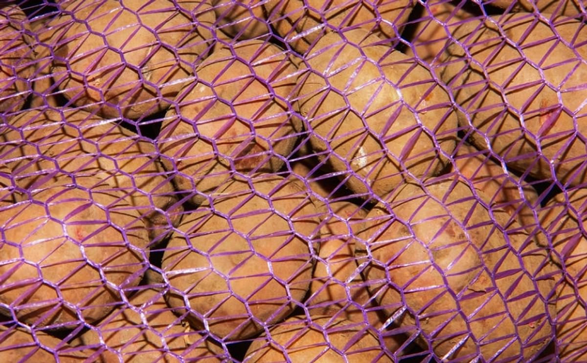 Potatoes in a meshed bag, ready for transport