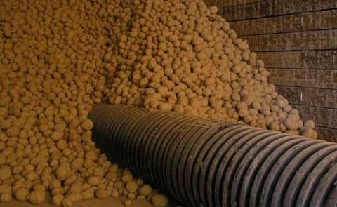North Dakota potato farming Johnson brothers sentenced to prison for crop insurance fraud North Dakota potato farming Johnson brothers sentenced to prison for crop insurance fraud