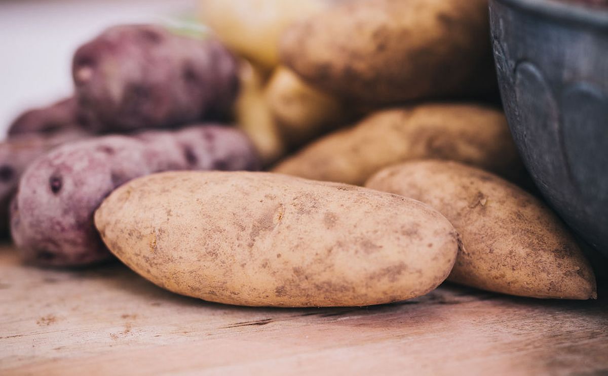 Potato Industry on Export Fast-track Potato Industry on Export Fast-track