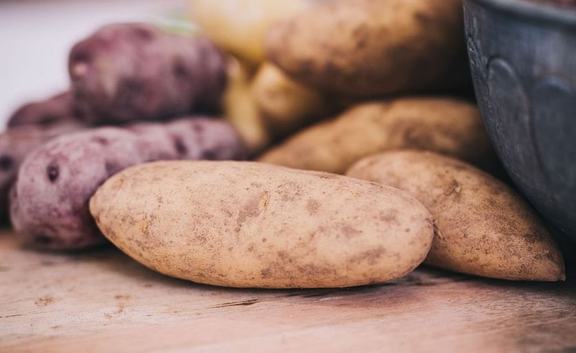 Plans progressing to launch potato export entity in 2020